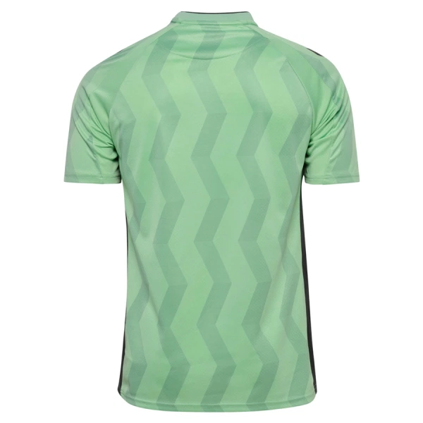 AS Saint-Étienne Ausweichtrikot 26/27 für Herren