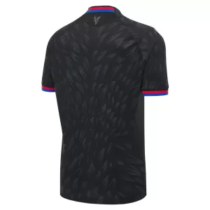 Crystal Palace Auswärtstrikot 26/27 für Herren