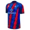 Crystal Palace Ausweichtrikot 26/27 für Herren