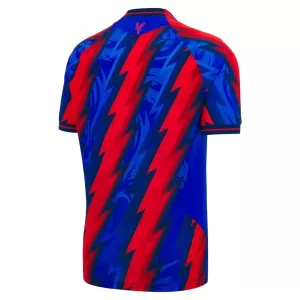 Crystal Palace Ausweichtrikot 26/27 für Herren