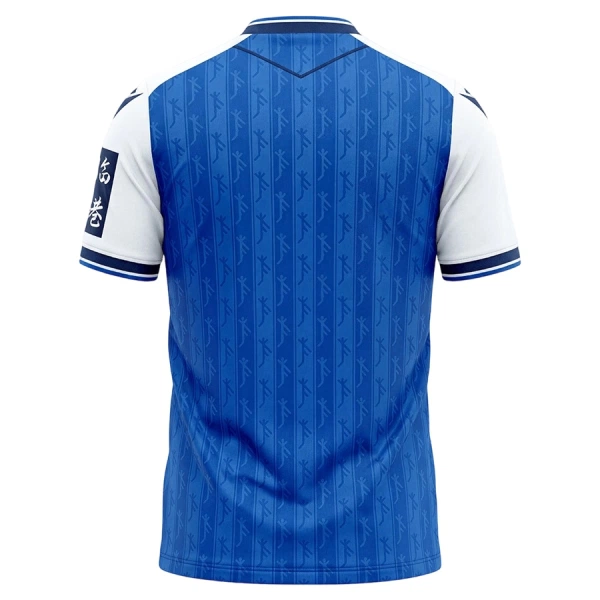 TSG 1899 Hoffenheim Heimtrikot 26/27 für Herren