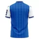 TSG 1899 Hoffenheim Heimtrikot 26/27 für Herren